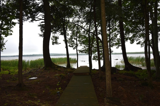107 Shady Ln, Newport, ME 04953 - view of community with a water view and a boat dock