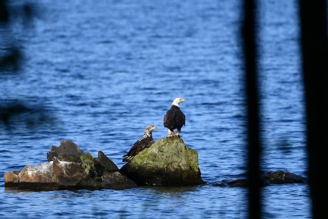 107 Shady Ln, Newport, ME 04953 - water view