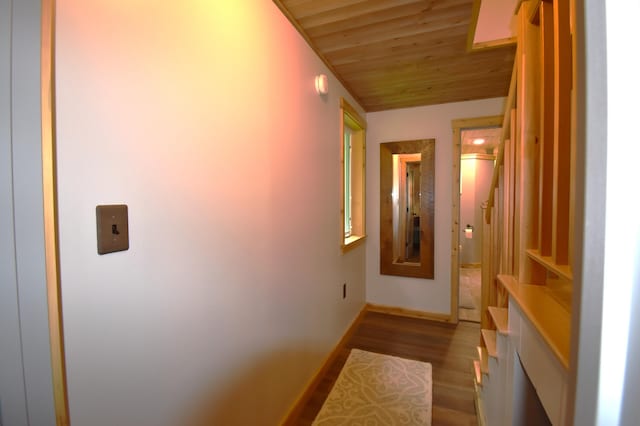 107 Shady Ln, Newport, ME 04953 - corridor with wood ceiling and wood finished floors