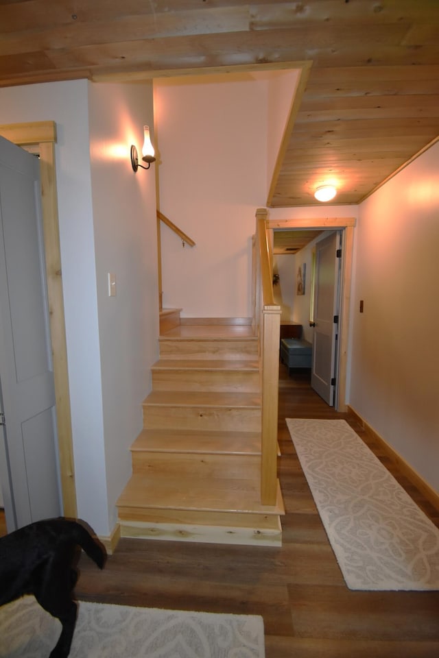 107 Shady Ln, Newport, ME 04953 - stairs featuring wood ceiling and wood finished floors
