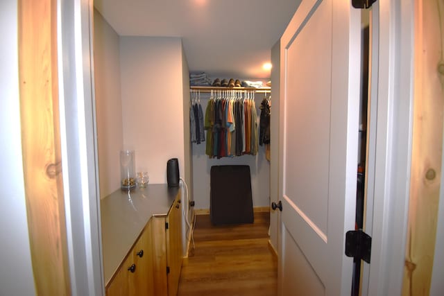 107 Shady Ln, Newport, ME 04953 - bathroom with wood finished floors, vanity, and a spacious closet