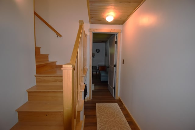 107 Shady Ln, Newport, ME 04953 - staircase featuring wood finished floors and wooden ceiling