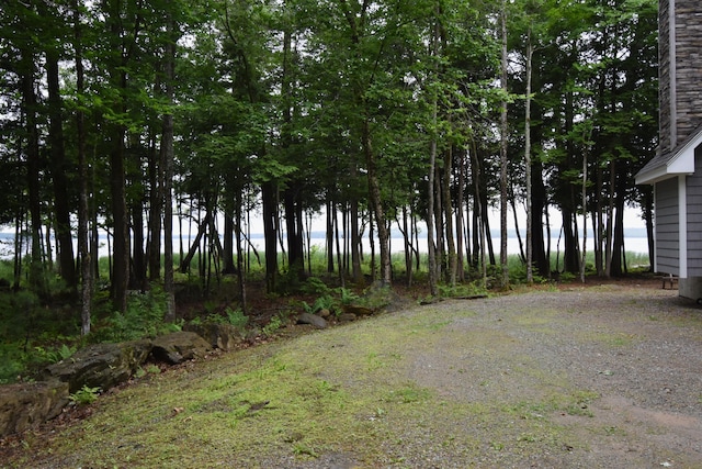 107 Shady Ln, Newport, ME 04953 - view of yard