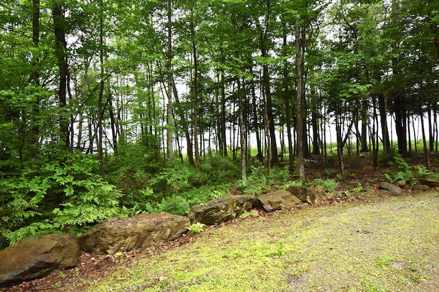 107 Shady Ln, Newport, ME 04953 - view of undeveloped land