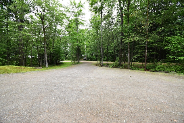 107 Shady Ln, Newport, ME 04953 - view of dirt / gravel road featuring a view of trees
