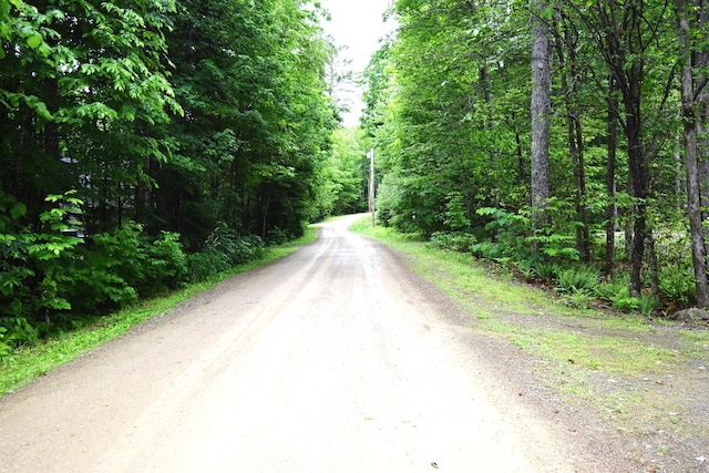 107 Shady Ln, Newport, ME 04953 - view of dirt / gravel road with a forest view
