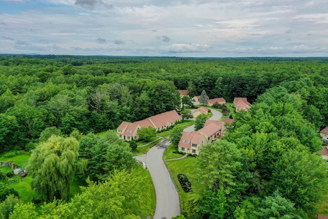 4 Cheshire Meadows Ln Unit 4, Kennebunk, ME 04043 - bird's eye view of a forest