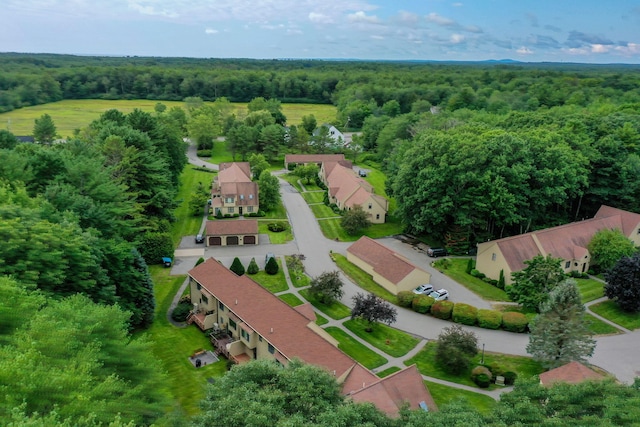 4 Cheshire Meadows Ln Unit 4, Kennebunk, ME 04043 - bird's eye view of a forest
