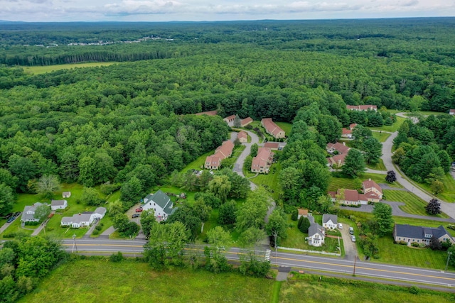 4 Cheshire Meadows Ln Unit 4, Kennebunk, ME 04043 - bird's eye view of a forest