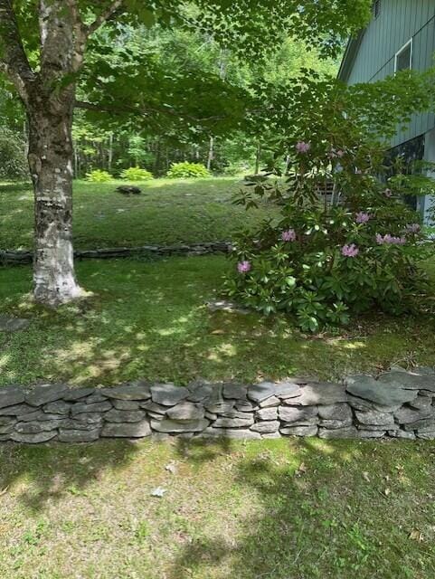 2073 Western Ave, Newburgh, ME 04444 - view of grassy yard