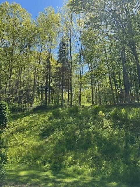 2073 Western Ave, Newburgh, ME 04444 - view of local wilderness