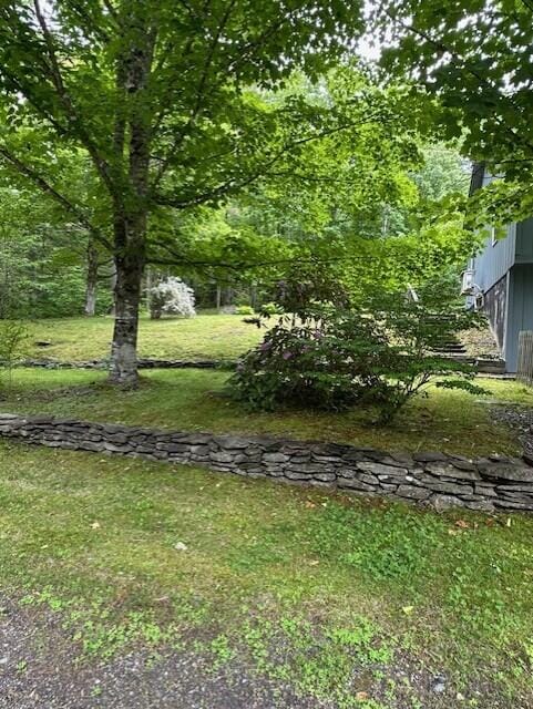 2073 Western Ave, Newburgh, ME 04444 - view of grassy yard