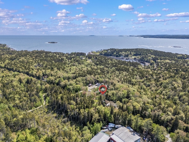 665 Hendricks Hill Rd, Southport, ME 04576 - drone / aerial view of a forest and a large body of water
