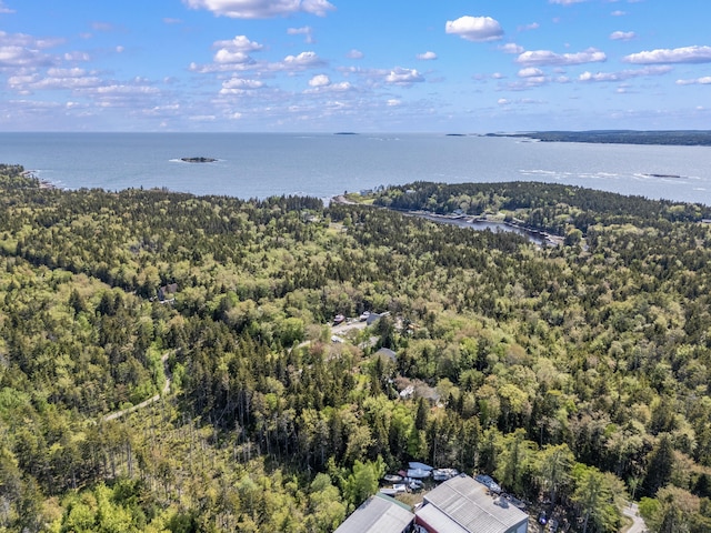 665 Hendricks Hill Rd, Southport, ME 04576 - bird's eye view of a heavily wooded area and a nearby body of water