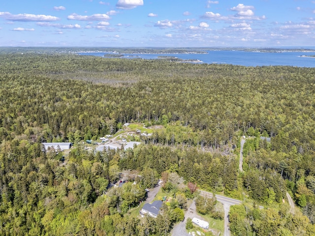 665 Hendricks Hill Rd, Southport, ME 04576 - view of property location with a forest and a large body of water