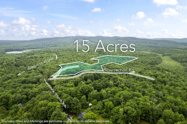 LOT21 Resurrection Rd, Sebago, ME 04029