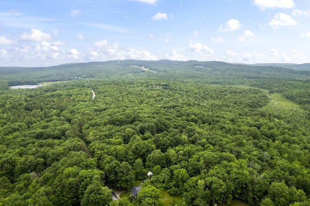 LOT21 Resurrection Rd, Sebago, ME 04029