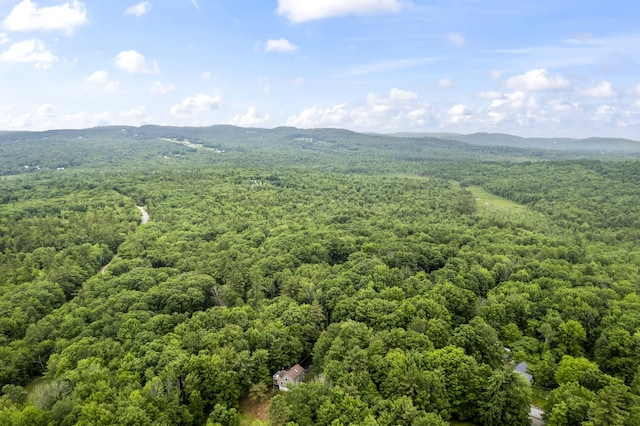 LOT21 Resurrection Rd, Sebago, ME 04029