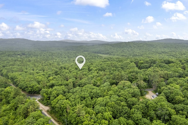 LOT21 Resurrection Rd, Sebago, ME 04029
