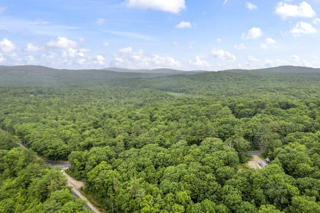 LOT21 Resurrection Rd, Sebago, ME 04029