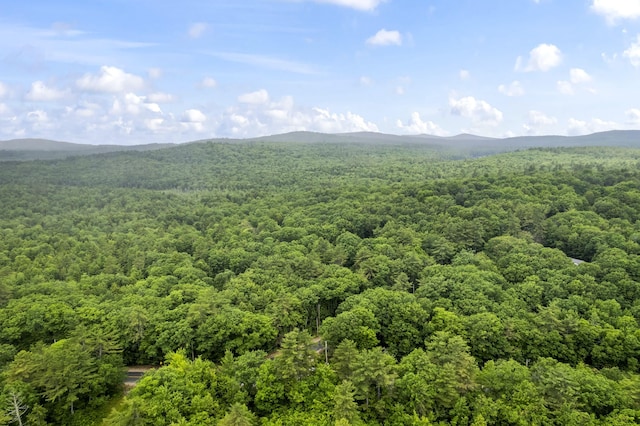 LOT21 Resurrection Rd, Sebago, ME 04029