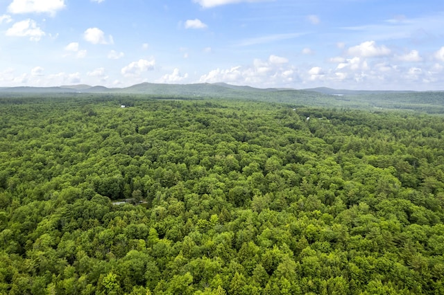 LOT21 Resurrection Rd, Sebago, ME 04029