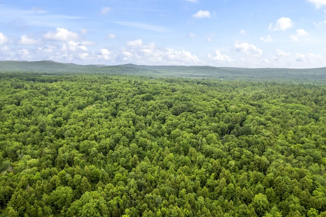 LOT21 Resurrection Rd, Sebago, ME 04029