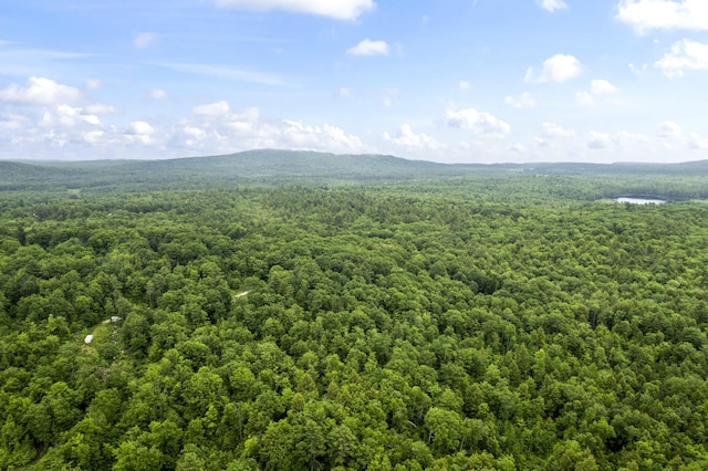 LOT21 Resurrection Rd, Sebago, ME 04029