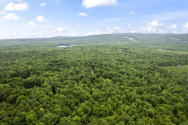 LOT21 Resurrection Rd, Sebago, ME 04029