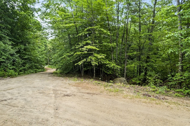 LOT21 Resurrection Rd, Sebago, ME 04029
