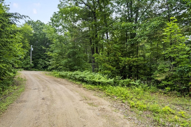 LOT21 Resurrection Rd, Sebago, ME 04029