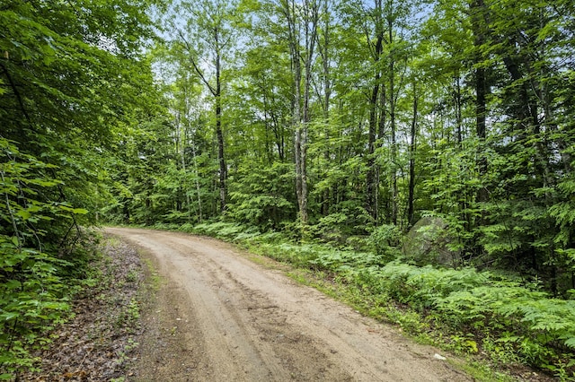 LOT21 Resurrection Rd, Sebago, ME 04029
