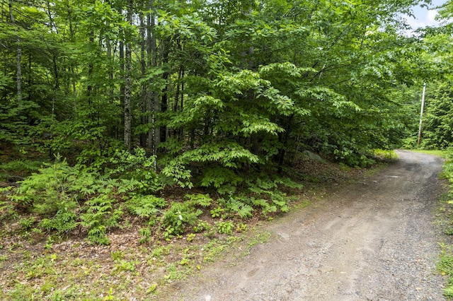 LOT21 Resurrection Rd, Sebago, ME 04029