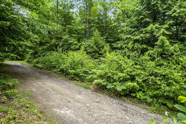 LOT21 Resurrection Rd, Sebago, ME 04029