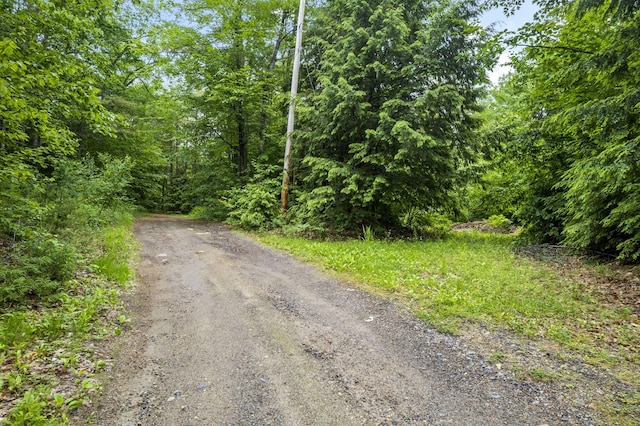 LOT21 Resurrection Rd, Sebago, ME 04029