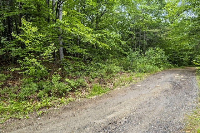 LOT21 Resurrection Rd, Sebago, ME 04029