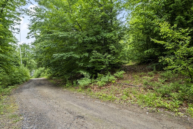 LOT21 Resurrection Rd, Sebago, ME 04029