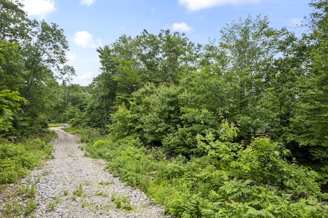 LOT21 Resurrection Rd, Sebago, ME 04029