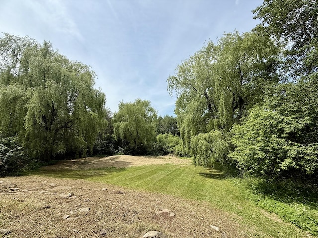238 Mcburnie Rd, Presque Isle, ME 04769 - photo 4