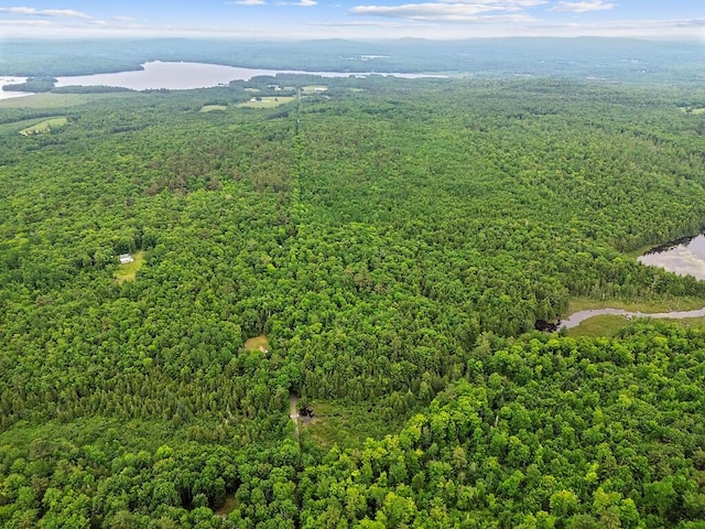 016 Judkins Rd, Harmony, ME 04942 - bird's eye view of a heavily wooded area