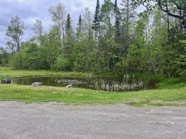 13 Aspen Ln, Canaan, ME 04924 - photo 7