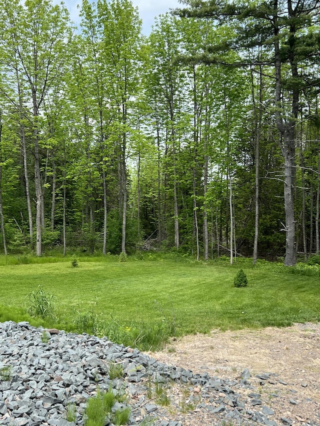 72 Cedar St, Calais, ME 04619 - view of nature