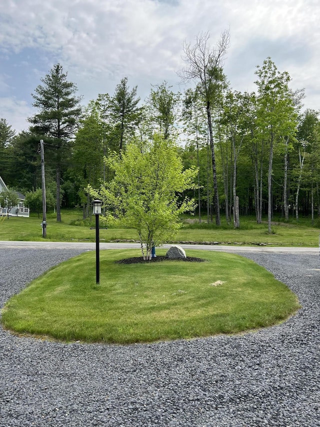 72 Cedar St, Calais, ME 04619 - view of home's community with a yard