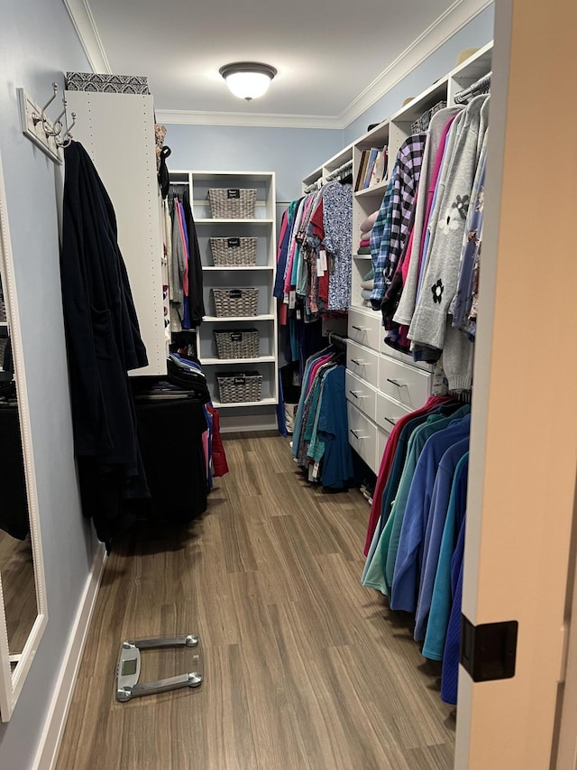 72 Cedar St, Calais, ME 04619 - walk in closet featuring wood finished floors