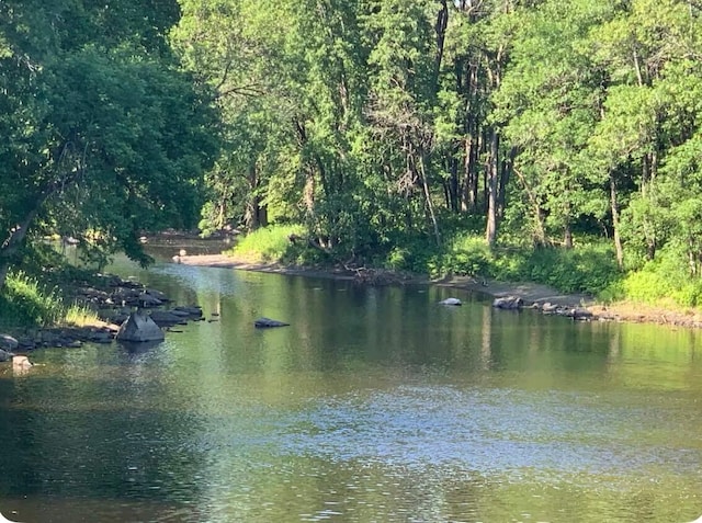 30 Troy Rd, Burnham, ME 04922 - water view with a forest