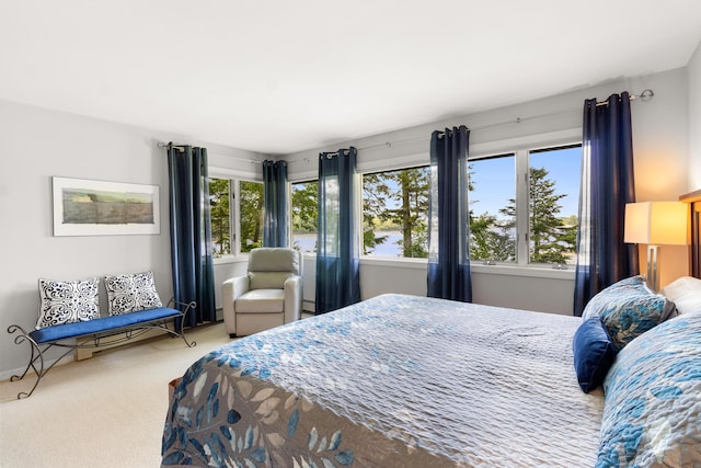 167 Hayden Point Rd, South Thomaston, ME 04858 - view of carpeted bedroom