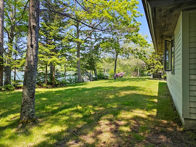 167 Hayden Point Rd, South Thomaston, ME 04858 - view of green lawn