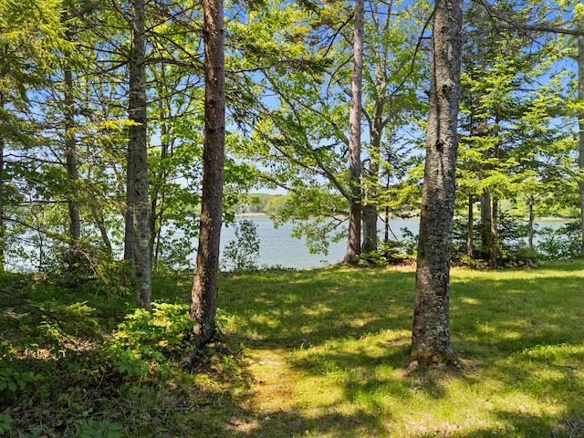 167 Hayden Point Rd, South Thomaston, ME 04858 - water view