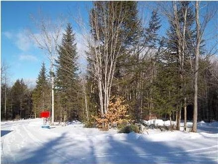 1 Weather Way, Dover-Foxcroft, ME 04426 - snowy yard featuring a view of trees