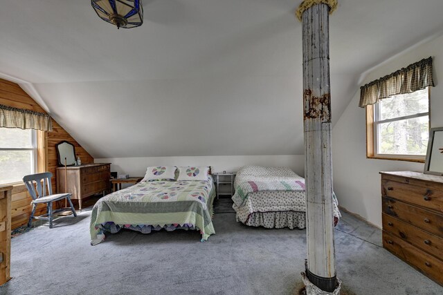M18L1 Troutdale Rd, The Forks Plt, ME 04985 - bedroom with lofted ceiling, multiple windows, and carpet flooring